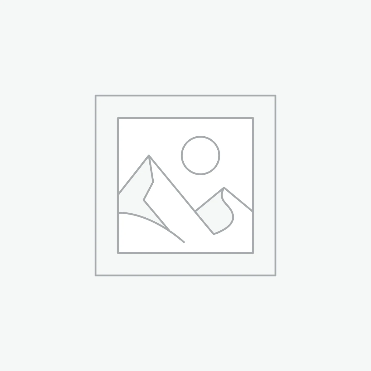 Premium Phone Accessories